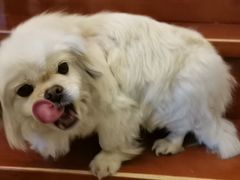 -杭州城北体育公园