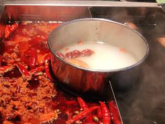 -蜀江龙火锅(339店)