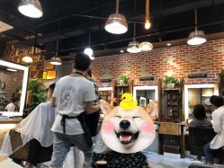 -16番发型
