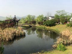 -石塘人家