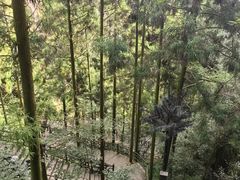 -刘伯温故里景区百丈漈