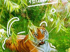 -五龙山野生动物王国