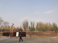 -东郊湿地公园