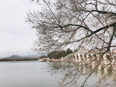 -颐和园