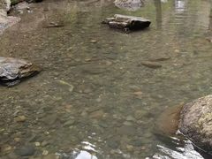 -石台牯牛降景区