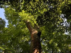 -西湖风景区十里琅珰-五云山