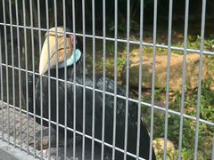 -上方山森林动物世界