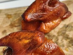 -鸽小宝(深圳首店)