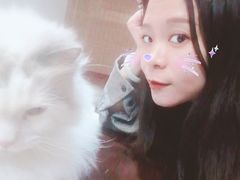 -暗楼·剧本杀·桌游