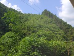 -龙颈河漂流