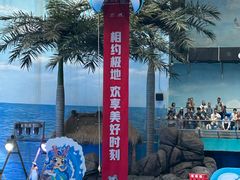 -海合安成都极地海洋公园