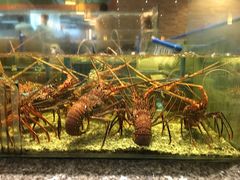 -Isla Sugbu Seafood City