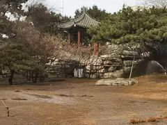 -丰台花园