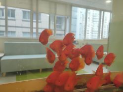 -杭州贝瑞斯美华妇儿医院·早孕·产检·儿科