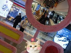 -南门小馆·清真(国贸商城店)