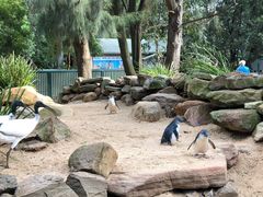 -费瑟代尔野生动物园