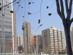 -老福庆和特色粉面馆(单洞三路店)
