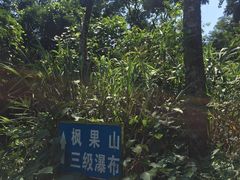 -海南热带雨林国家公园吊罗山景区