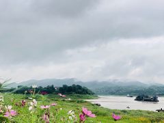 -木洞河街