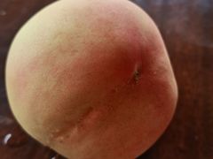 -南汇新场正宗水蜜桃采摘