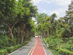 -大渡口区义渡公园