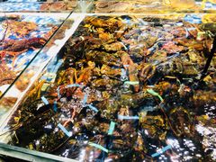 -森谷美食公园(杨行店)