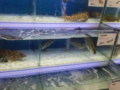水产区-盒马鲜生(联投广场店)