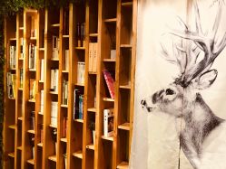 -V-STAR威斯达•高级私人定制