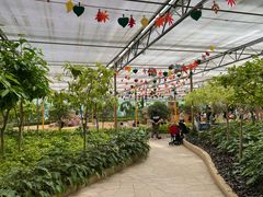 -南宫五洲植物乐园