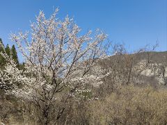 -青龙山生态文化旅游区