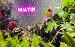 -花隐·美芙炫海菲秀皮肤管理中心