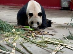-杭州野生动物世界
