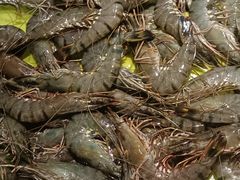 -鼎香缘海鲜自助火锅烤肉(锦辉购物广场店)