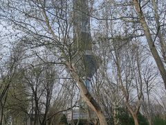 -裕华世纪公园