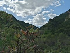 -云岫谷自然风景区