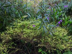 -徐家汇源景区-衡山公园