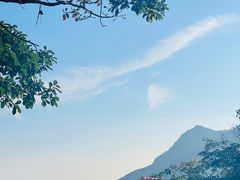 -六里坪国家森林公园
