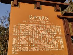-茯茶镇