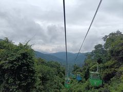 -野象谷景区