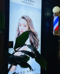 -艺之剪