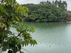 -粤晖园