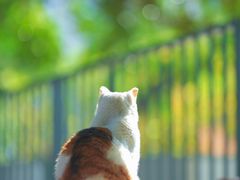 -苏州河梦清园环保主题公园