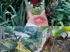 -上海辰山植物园