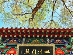-护国法轮寺