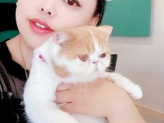 -飞行喵MR PILOT|猫舍·猫咖(静安大融城店)