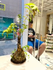 -菲·木田moontin造型salon