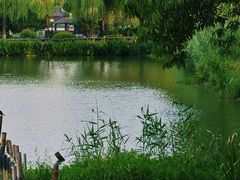 -沙家浜风景区