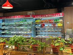 -芙蓉树下·四川冒菜(大悦城店)