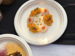 -TOMATITO(无限极荟店)