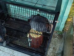 -上海大自然野生昆虫馆